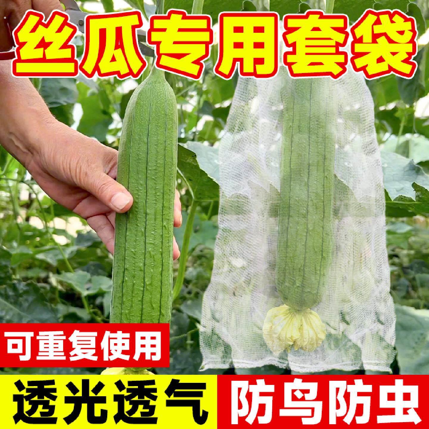丝瓜防虫套袋果袋防鸟专用袋黄瓜苦瓜尼龙网纱网套袋神器保护袋子