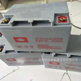 含税运 65通讯电源12V65Ah质保三年 山顿铅酸蓄电池6 GFM