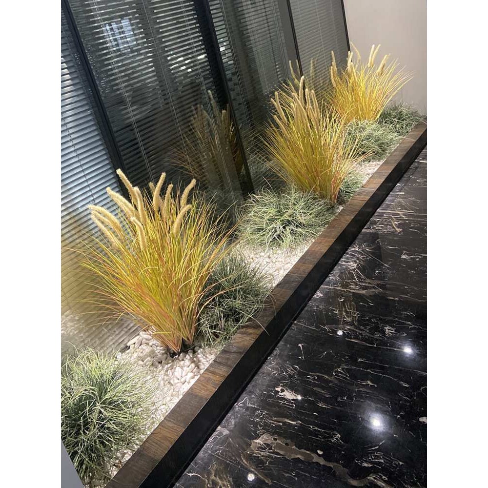 花舍网红款仿真蒲草丛狗尾草干景落地植物灌木芦苇景观橱窗小水草