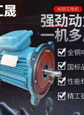 江门江晟电机JS-180L-4 22KW江晟三相马达异步电动机4极卧式立式