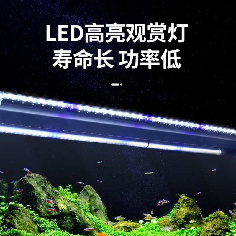 闽江生态鱼缸新款鱼缸中型家用桌面金鱼缸长方形客厅办公室水族箱