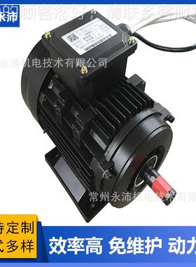 YP无90PC YP80PC YP90 YPYP90PC100 YP112 Y132P B3 B5永磁刷流直