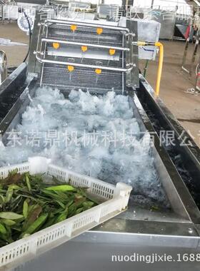 水萝机清ND洗清设备 全自动气泡洗机 洗菜不锈钢制作 链卜条传送