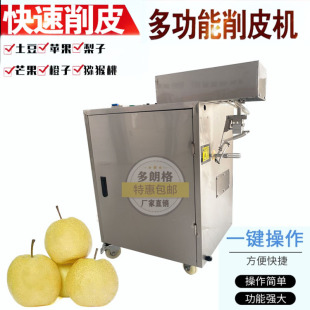 苹果橙子去皮机梨快速削皮机砀山梨削皮机每小时200kg削皮量