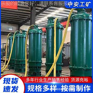 400 751 226B 隔爆型潜水厂 家供应 下吸式 扬大流量高程BQS30