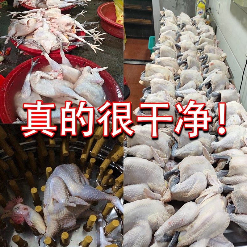 硕禾全自动鸡鸭鹅脱毛机杀鸡拔毛家用鸡家禽毛机器商用不锈钢涡轮