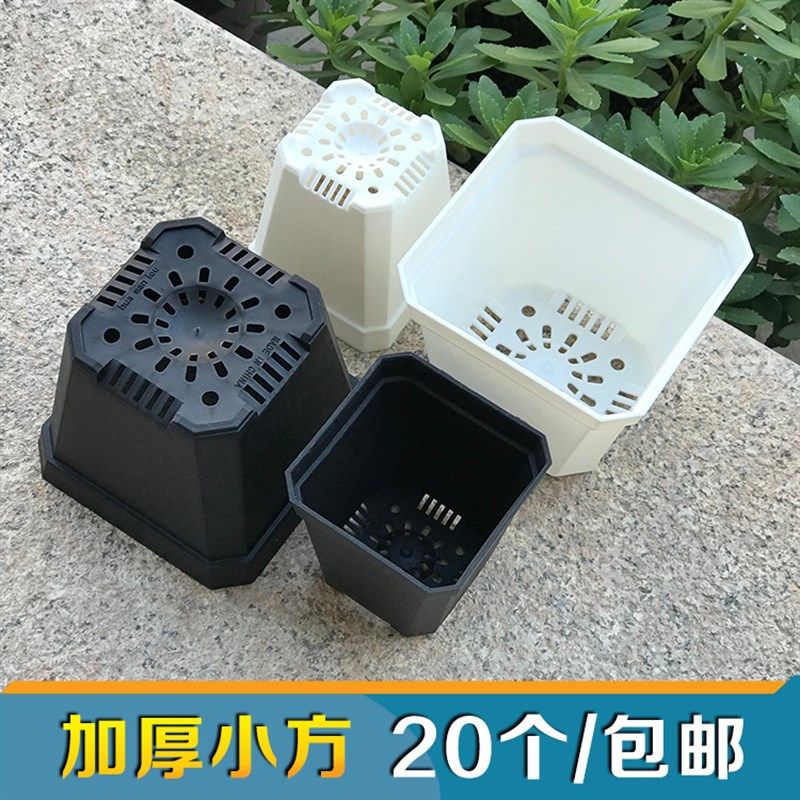 加厚多肉大小黑方花盆 七方十方塑料小苗盆 叶插育苗盆方形小花盆,鲜花速递/花卉仿真/绿植园艺,育苗盘/营养钵,淘宝优惠券,粉丝福利购,淘宝优惠卷