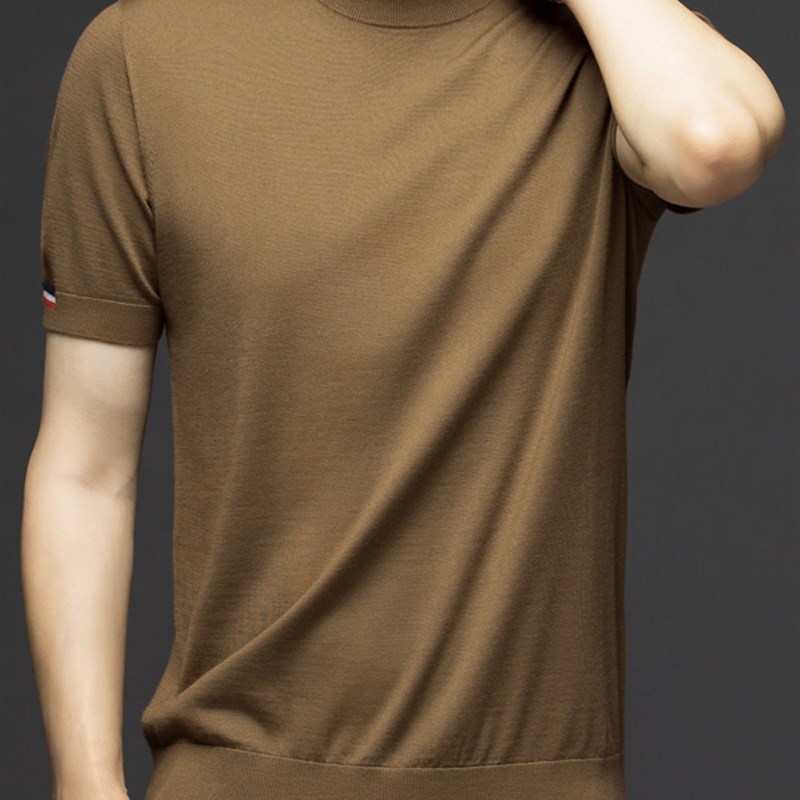 薄款精纺短袖羊毛衫男100纯羊毛圆领毛衣男士中年针织打底衫春秋