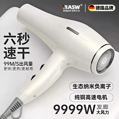 德国电吹风机家用大功率发