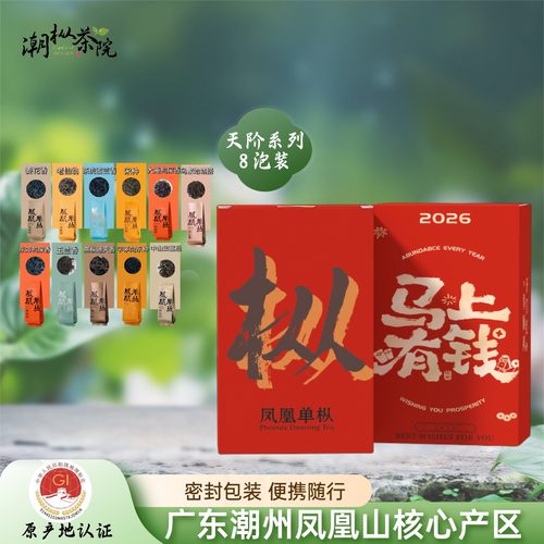 8大香型凤凰单枞茶品鉴泡袋试喝