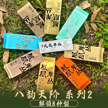 凤凰单枞茶潮汕特产乌岽蛤蛄捞玉兰香鸭屎香单丛茶泡袋品鉴试喝装