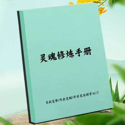《灵魂修炼手册》自我觉察/内在觉醒/开启灵性探索之门 高清资料