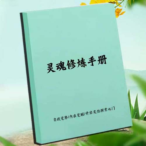 《灵魂修炼手册》自我觉察/内在觉醒/开启灵性探索之门 高清资料