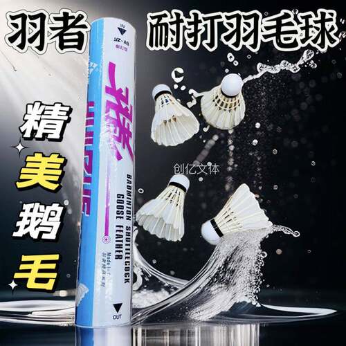 羽者A9羽毛球耐打飞行稳定鹅毛球76/77速室内场馆训练用口粮球