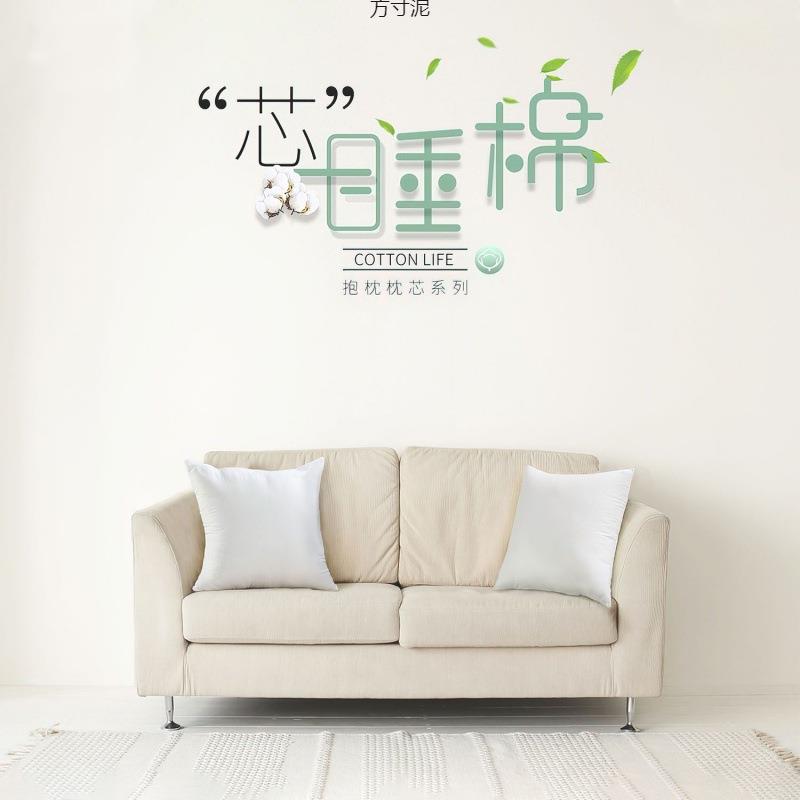 枕头枕芯家用一对磨毛抱枕芯沙发靠垫芯长方形十字绣内胆一件