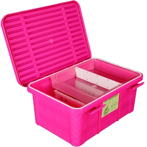 小号塑料b车载整理箱汽车后备储物箱两层隔板可拆居家衣物收纳箱