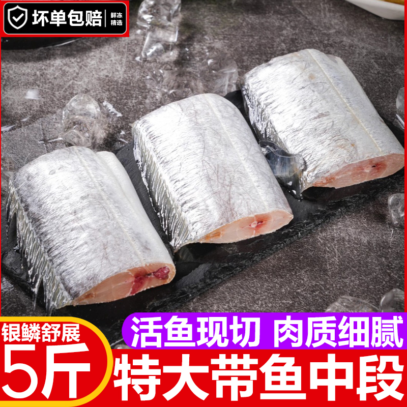 特大级带鱼中段去头去尾刀鱼段新鲜冷冻海鲜北海水产品海鱼带鱼段