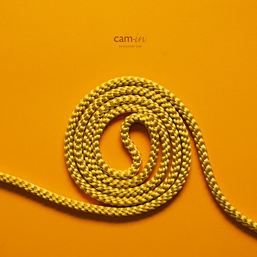 cam-in · 纯色真丝相机背带时尚个性背带可定制通用多机型宾得17