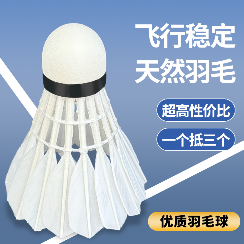 飞行稳定耐打羽毛球耐用不易烂防风正品室内外比赛训练娱乐用球