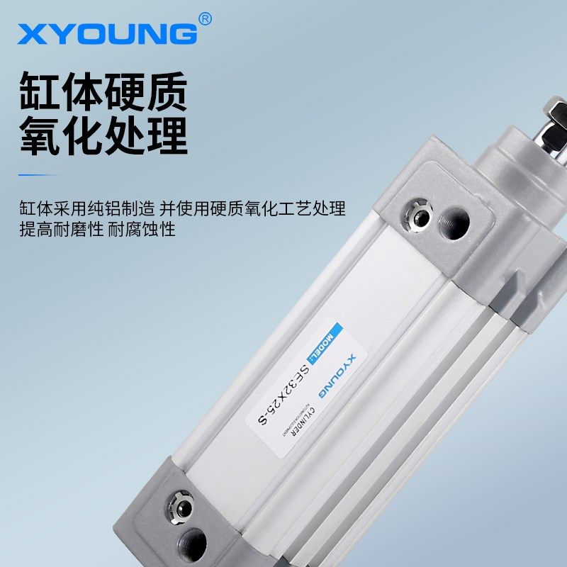 SE40X25-S气动SE40X100-S标准气缸SE40X50-S带磁标准气缸SE40X75