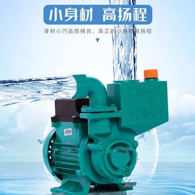 广东凌霄水泵1ZDB35家用自来水增压泵高扬程220V抽水机清水自吸泵