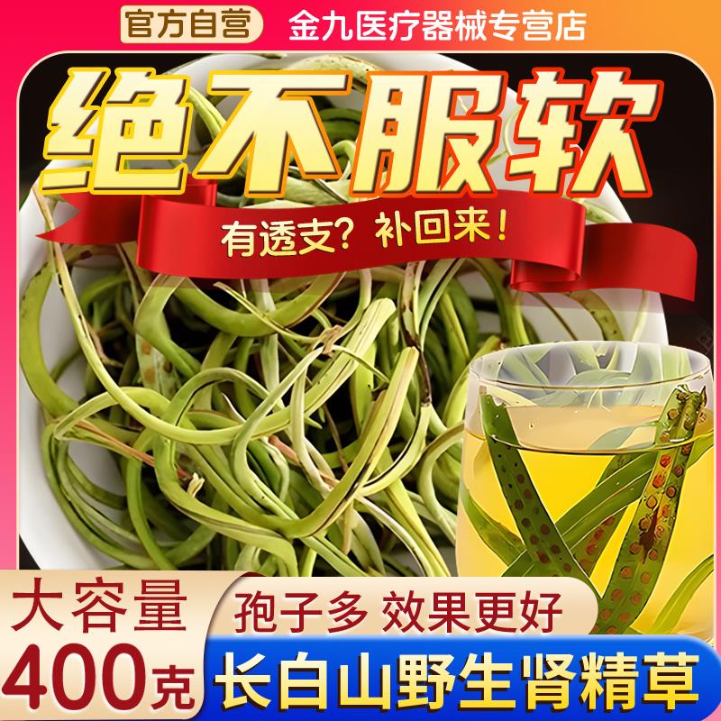 东北长白山肾精茶嗷嗷叫黄金草金孢子男士滋补石韦纯正野生肾精草