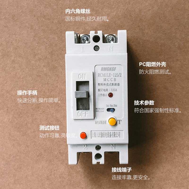 CM1LE单相2P漏电断路器63A 80A 100A 125A 220V 250A空气开关160A