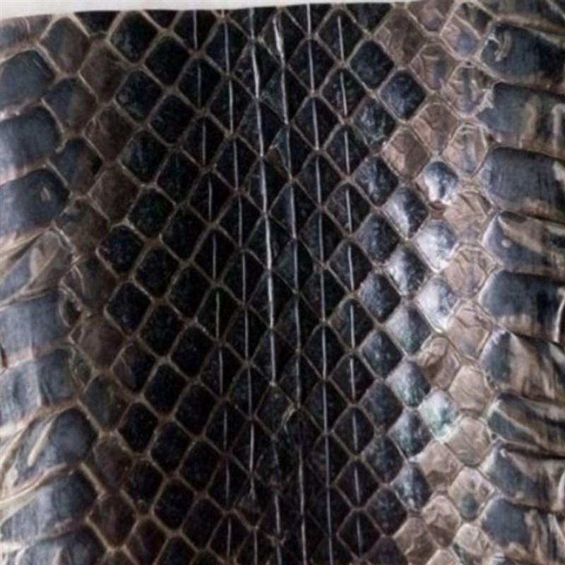 高品质乐器配件乌稍皮中段单块蛇皮京胡四胡蒙皮材料京胡胡琴配件