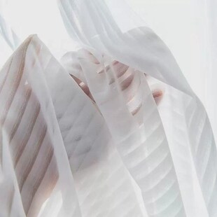 竖百叶纱帘透光不透人雪纺纱客厅窗帘白纱阳台2024新款 沙隔热新款