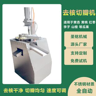 定制商用大型苹果梨杏去核切瓣李子脱核机 电动枣山楂去核切半机