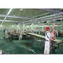 猪屠宰设备 猪洗肚机 屠宰机械加工流水线 厂家供应