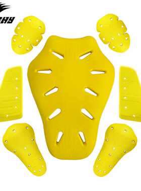 雷翅CE2级认证内置护具摩托车骑行服护肩护肘护背护膝护胸通用型