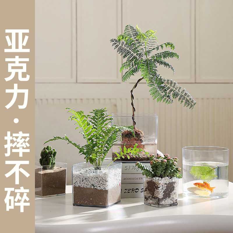 郁金香水培器皿植物桌面器皿亚克力绿萝水养绿植方缸创意透明花瓶