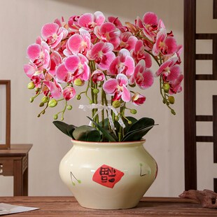 中国风陶瓷花盆家用新中式冬青蝴蝶兰专用大号兰花盆栽轻奢高级感