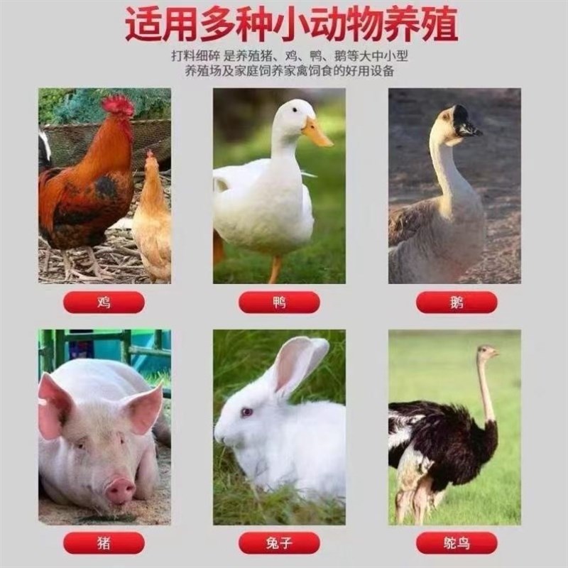 超细碎除尘牧草打浆机小型家用秸秆甜象皇竹草无谷杂粮粉碎打浆机