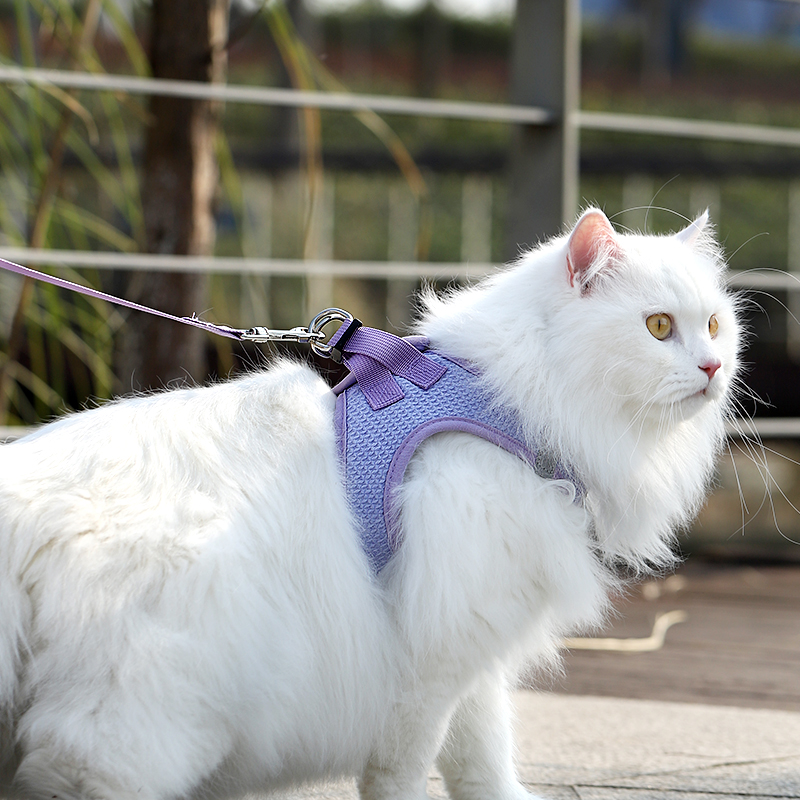 猫咪牵引绳遛猫绳子防挣脱宠物外出背心式小型犬小狗狗胸背带用品