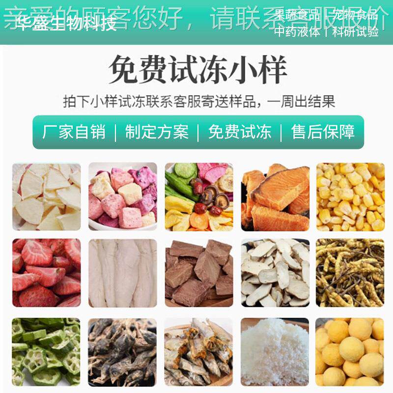 全动杨梅榴冻干脆自机 水果片果蔬真空冻干设备 桃RPV子莲柠檬冻