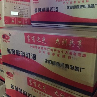 耐高压普通电灯泡220v 25/40/60W/100W200瓦老式灯泡白炽灯泡黄光