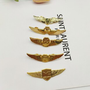 国航南航飞行员制服胸章海航厦航男乘务员空姐航空公司徽章纪念章