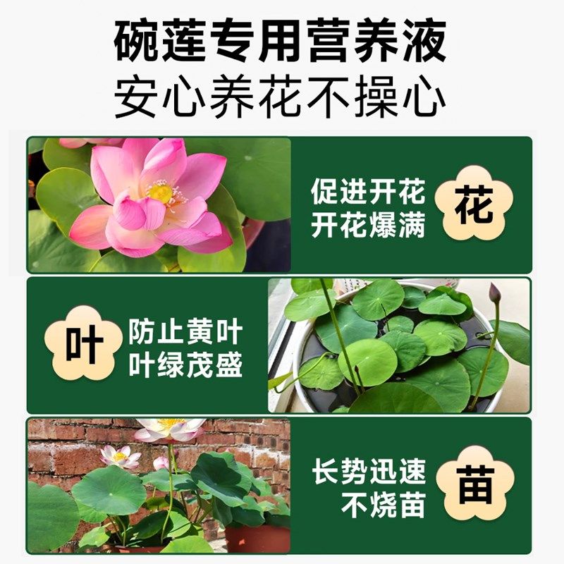 碗莲专用水培植物营养液促开花液体肥荷花肥料促根生根睡莲通用,鲜花速递/花卉仿真/绿植园艺,家庭园艺肥料,淘宝优惠券,粉丝福利购,淘宝优惠卷