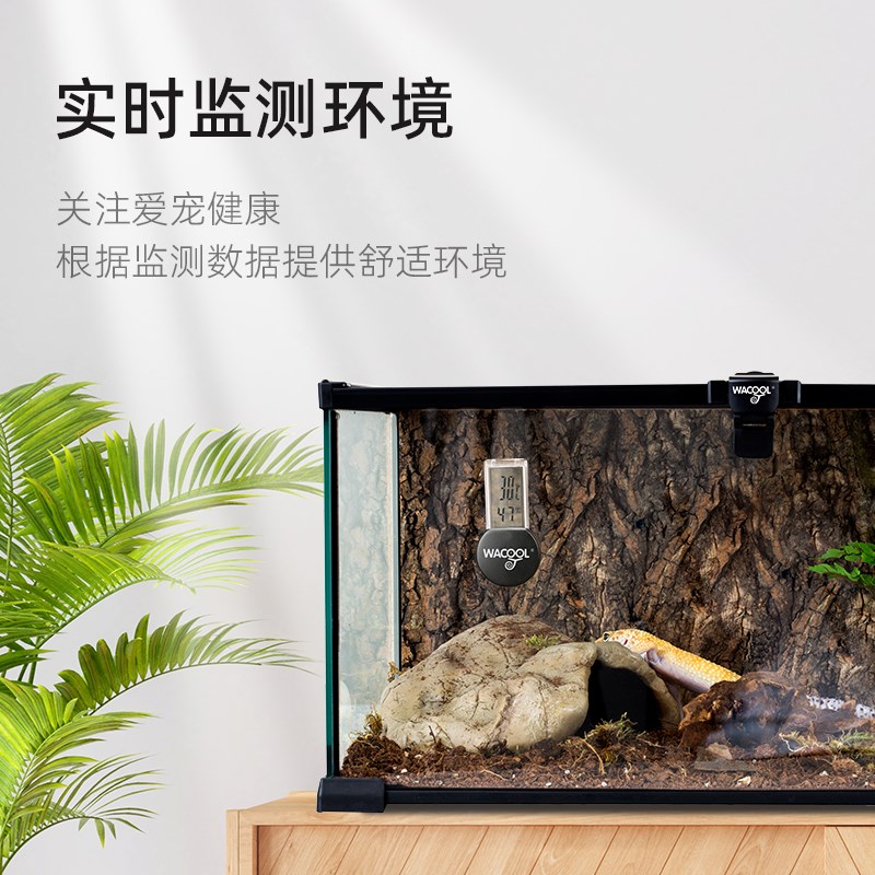 WACOOL玩酷爬虫温度计蜥蜴守宫蛇陆龟饲养箱吸盘电子湿度计
