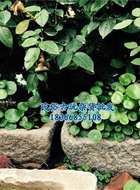 怀旧民俗老物件老青石槽猪槽流水槽石板养鱼石盆庭院装饰摆件推荐