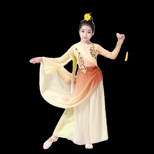 古典舞演出服女2024新款飘逸剧目寒依疏影儿童舞蹈服装艺考表演服