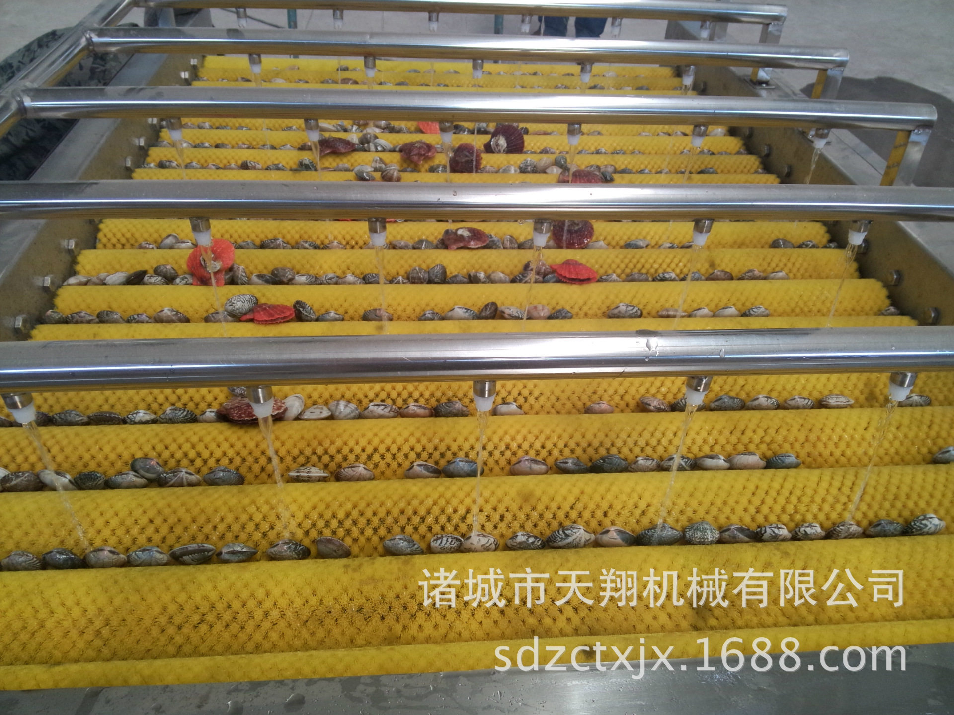 天翔萝卜清洗机花生毛辊清洗机洗泥去沙喷淋清洗机