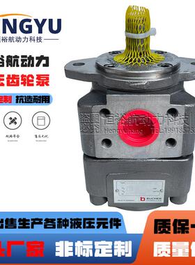 布赫液压泵BUCHER齿轮泵QXEH42-032R451QX泵31/43/53QXEH52油泵