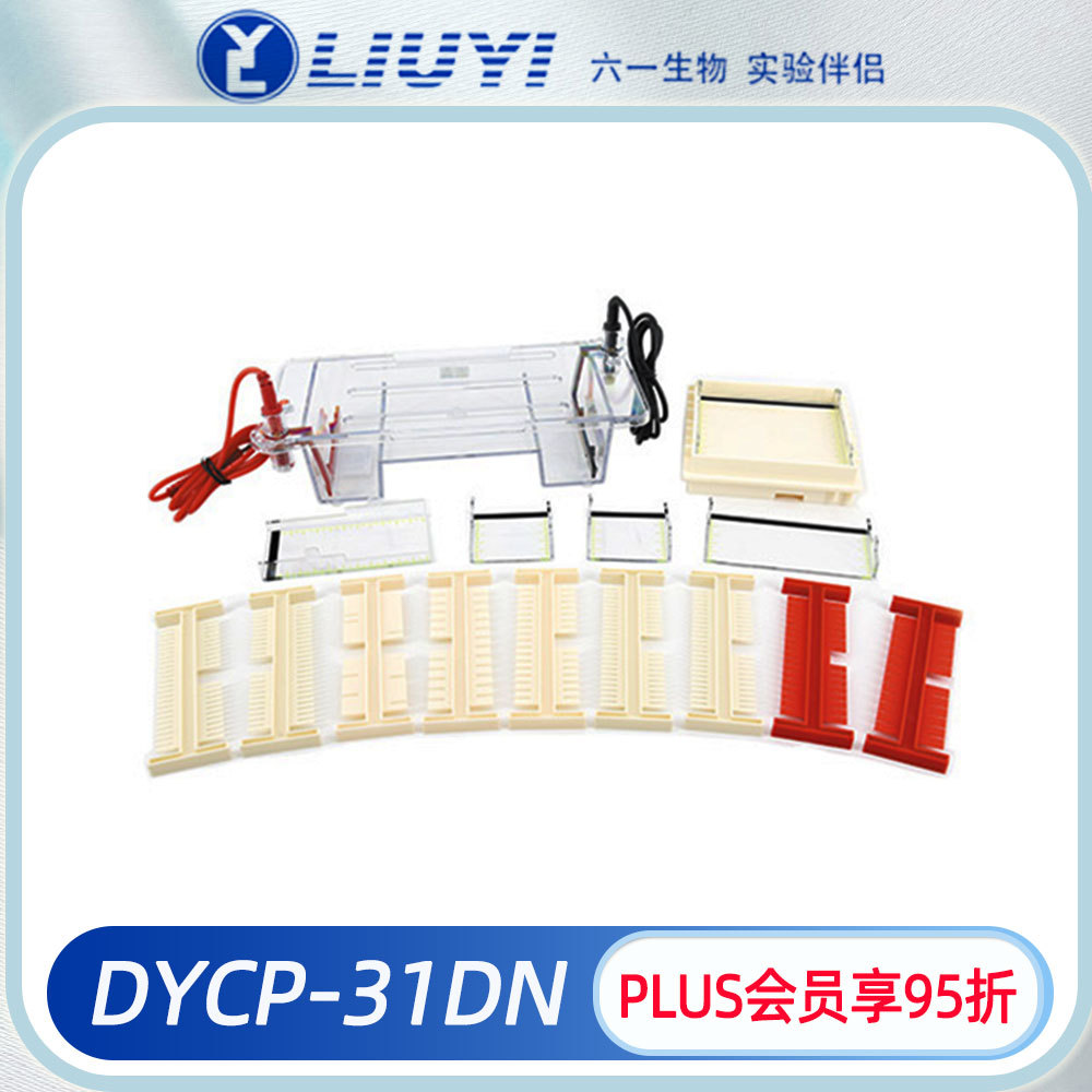 六一仪器琼脂糖水平电泳仪DYCP-31DN小号核酸电泳鉴定分离制备DNA