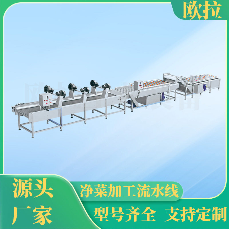果蔬喷淋加工 土豆红薯毛刷流水线 全自动海带清洗风干设备