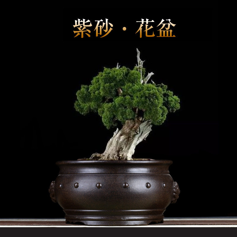 紫砂兰花盆大号古典老庄黑松榕树阳台摆件客厅盆景盆手工陶瓷批发