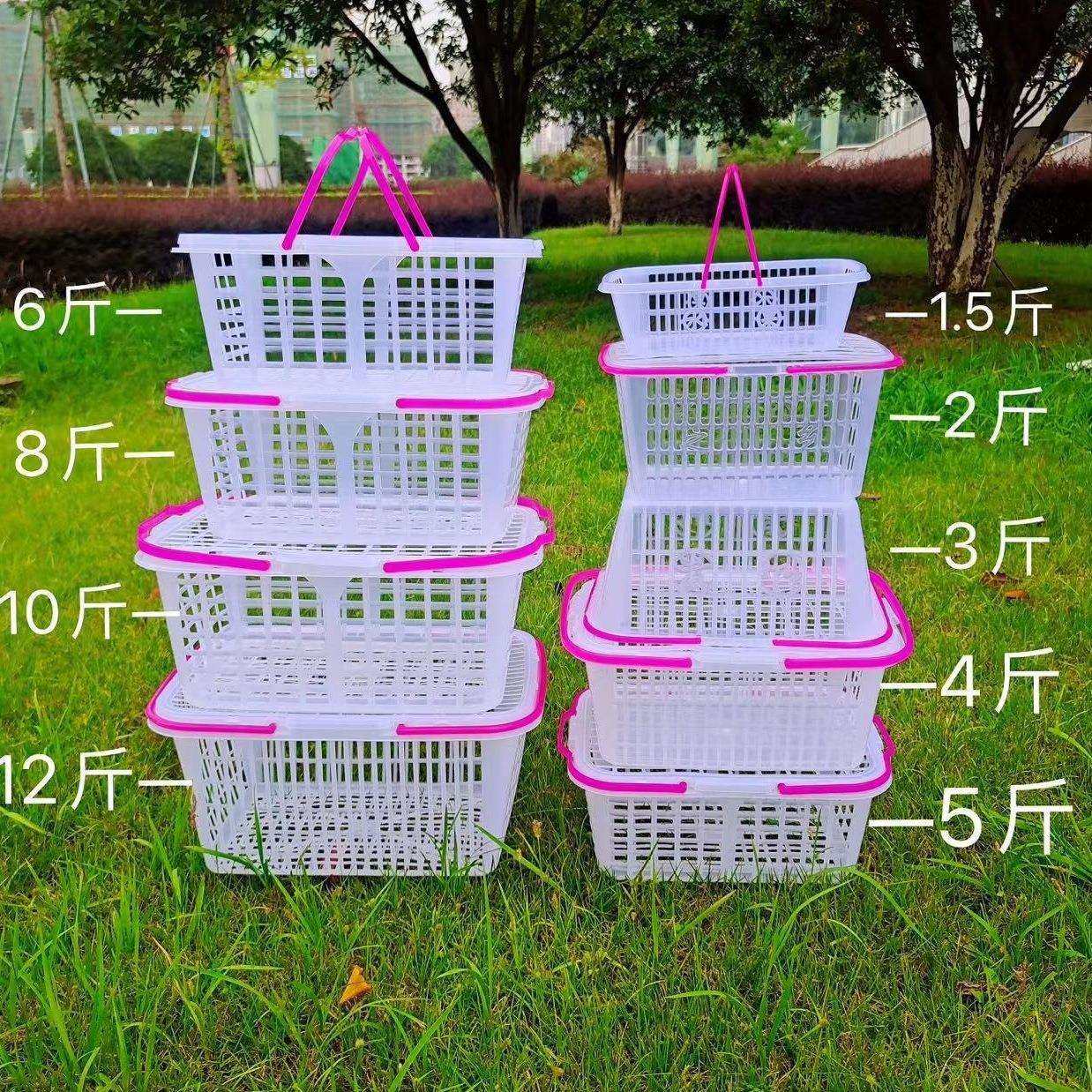 白色方形卡扣带盖1-12斤草莓篮鸡蛋枇杷杨梅采摘手提水果篮