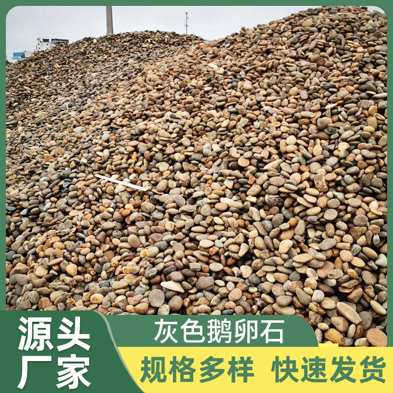 深圳直批杂色鹅卵石树坑填充鱼缸打底造景花盆鹅卵石天然鹅卵石